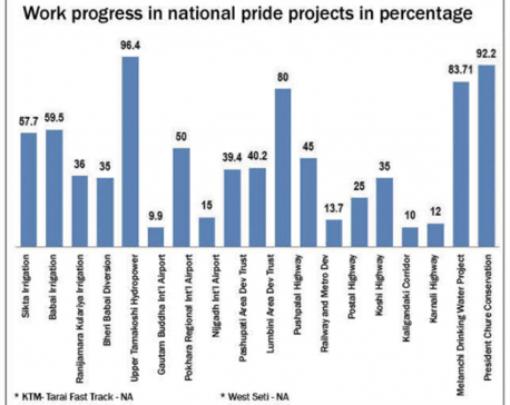 Only 7 national pride projects minimum 50 pc complete