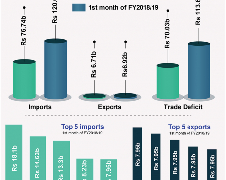 Trade deficit in first month of Fiscal Year rises to Rs 113.69 billion
