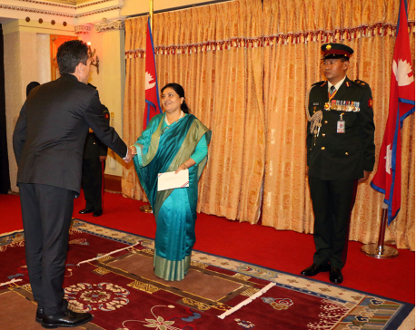 New French envoy presents credentials to president