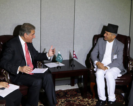 Foreign Affairs Minister Gyawali meets Pakistani counterpart
