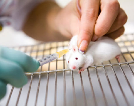 California signs bill banning sale of animal-tested cosmetics