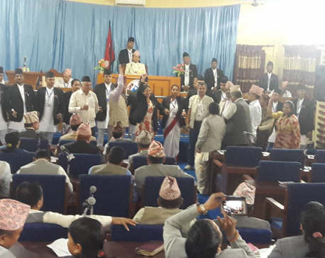 NC and RJPN lawmakers disrupt provincial meeting