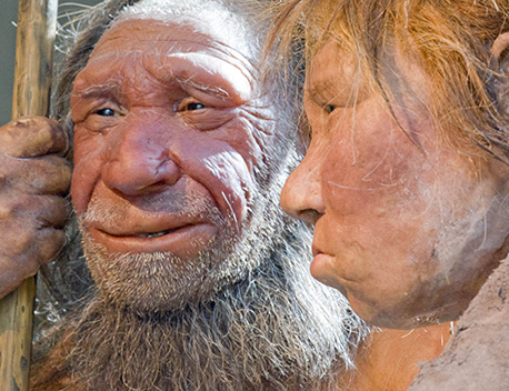 Neanderthal-like features in 450,000 yO Italian teeth shine light on evolution