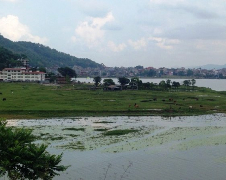 Panel to probe encroachment, pollution of Fewa by Shakya's resort