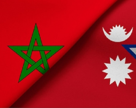 Morocco's ambassador to Nepal Maliki calls on Vice President Pun
