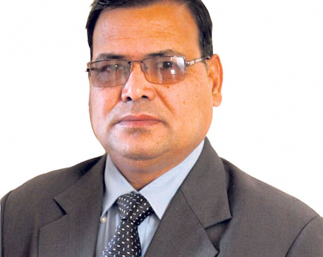 Formulating laws a must for constitution implementation: Speaker Mahara