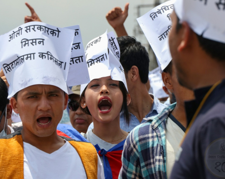 Demonstration staged in capital in support of Dr KC (photo feature)