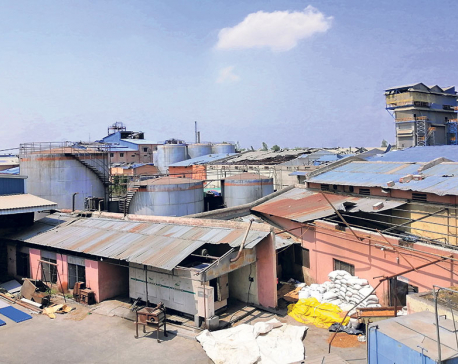 Birgunj factories suffer huge losses in storm