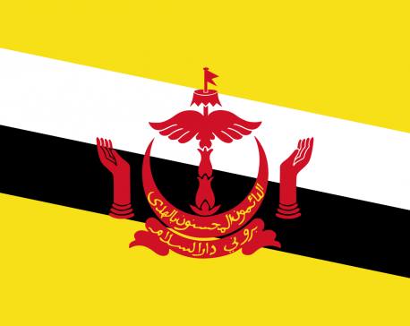 Brunei invokes laws allowing stoning for gay sex, adultery