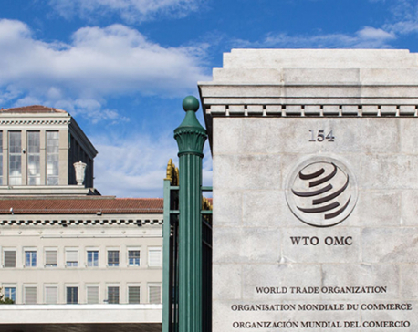 WTO chief stresses urgency of easing trade tensions to improve global economy