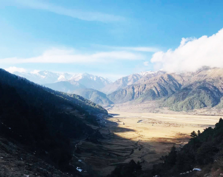 Six Himalayan bluesheep and three Himalayan Tahr killed in Dhorpatan