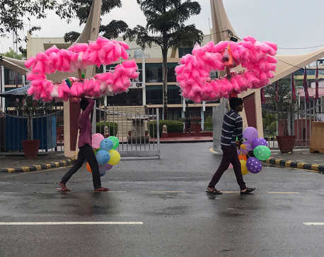 KMC to crack down on substandard 'cotton candy' sales