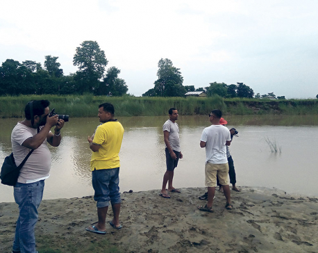 Census of Dolphins underway in Kailali