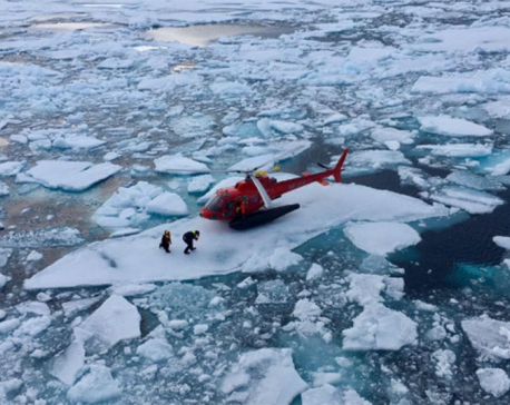 An Arctic 'miracle': Icebreaker salvages lost recordings of Beluga whales
