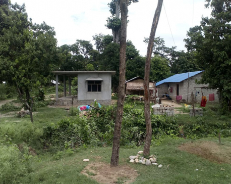 Forest encroachment in the name of flood victims