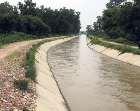 Canal construction gaining momentum in Bheri Babai