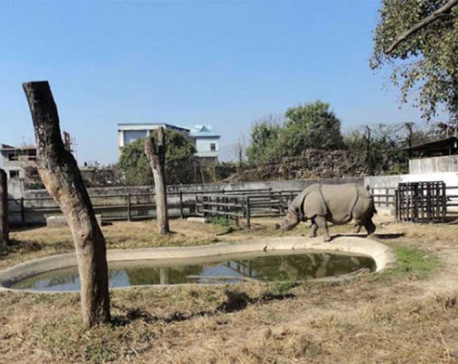 Central zoo animals getting new homes