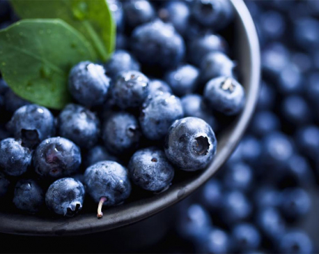 Eating blueberries every day could help decrease blood pressure