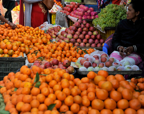 Orange production surge in Solukhumbu, but farmers face market challenges