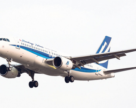 TIA may ground Himalaya Airlines over non-payment of dues