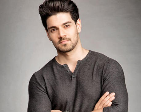 Sooraj Pancholi to donate his earnings from 'Satellite Shankar' to an army camp