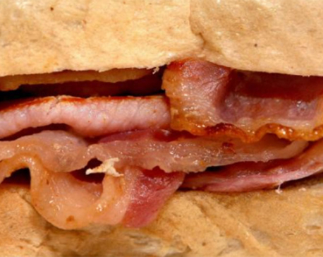 Scientist criticizes lack of response to processed meat cancer risk study