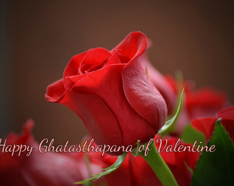 Rose Day: Ghatasthapana of Valentine