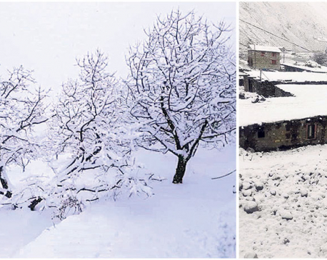 Heavy snowfall blankets Dolpa