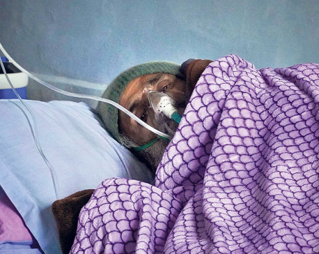 Bill could not explore ways for reforms-Dr KC