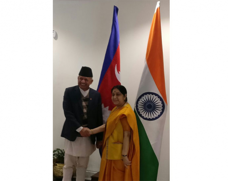 Foreign Minister Gyawali meets with his Indian counterpart Swaraj