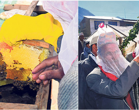 Herb collection, climate change affect bee-keeping in Jumla