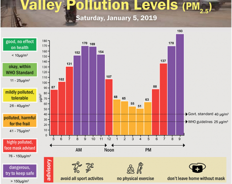Valley Pollution Index for January 5, 2019