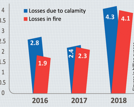 Losses from calamity up 74% in 2018