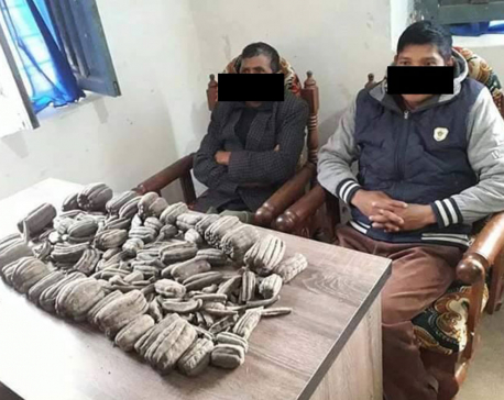 Police arrest two persons with hashish