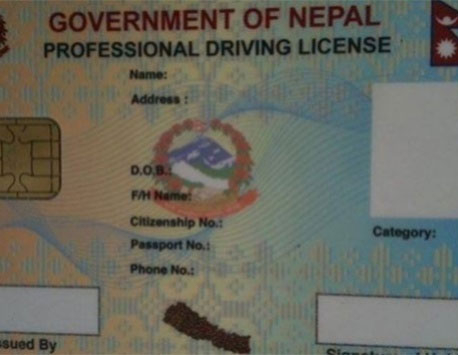 Transport Department alone issues over 350,000 smart driving license