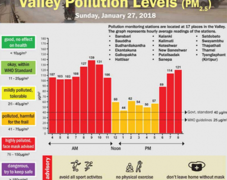 Valley Pollution Index for Jan 28, 2019