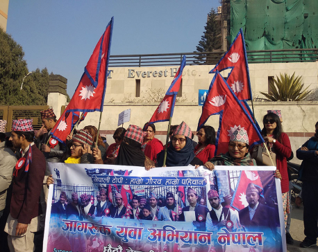 IN PICTURES: Nepali Topi Diwas 2075