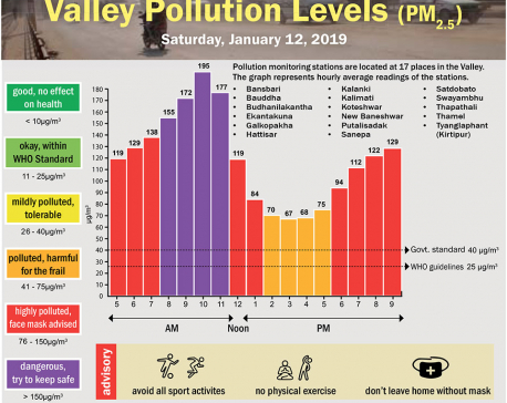 Valley Pollution Index for January 12, 2019