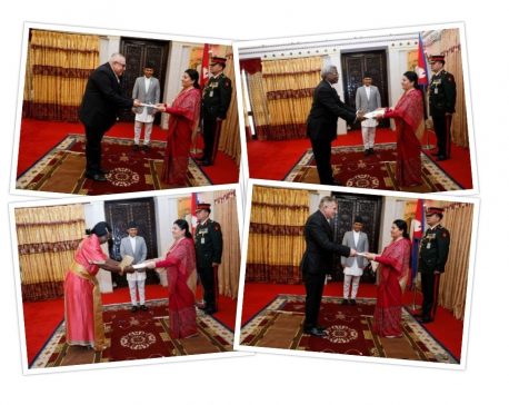 Ambassadors present credentials to President