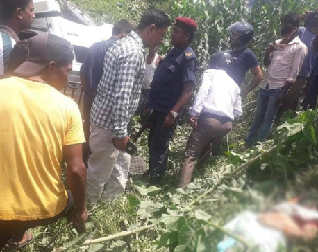 Three dead,  seven injured as a truck hits Magic van in Siraha