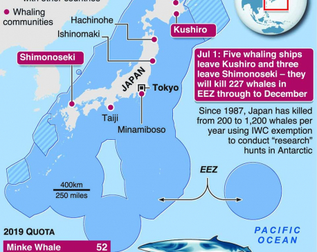 Infographics: Japan's first commercial whale hunt in more than 30 years