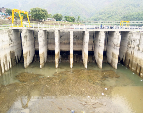 Rani Jamara Kulariya irrigation project yet to come into operation