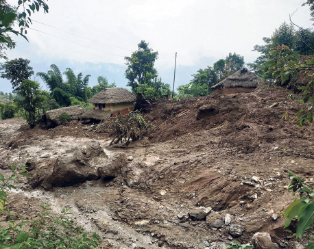 Gulmi landslide death toll reaches 12 as three missing found dead
