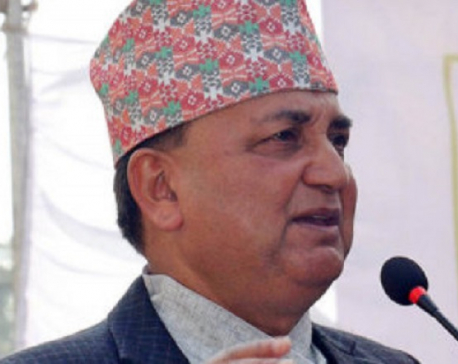 DPM Pokharel urges one and all to focus on prosperity of country