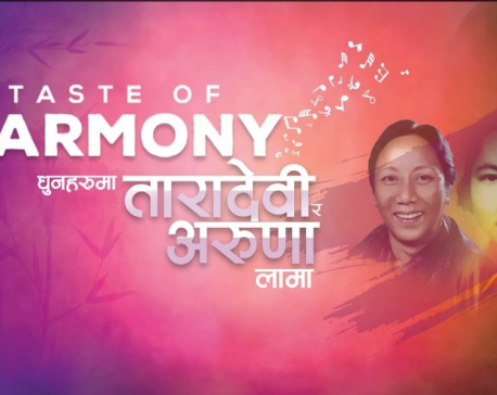 'Taste of Harmony' concert in Pokhara