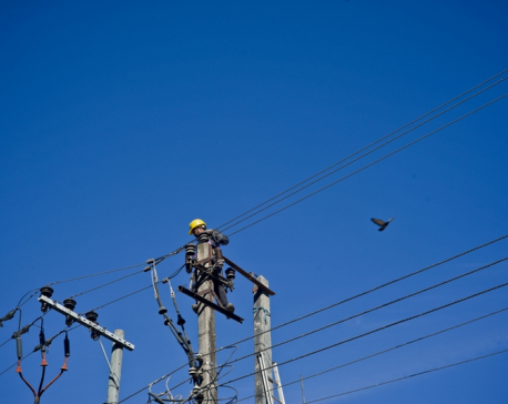High tension electrical wires: A boon or a curse