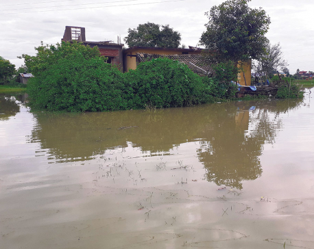 Despite spending millions on fixing its drainage system, Nepalgunj inundated by sewage