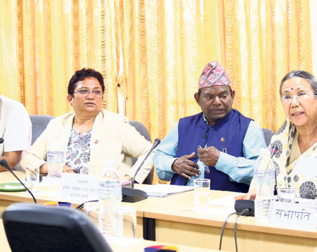 NCP MPs divided along UML-Maoist fault line on disputed bills, issues
