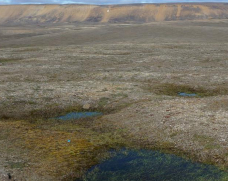 Scientists amazed as Canadian permafrost thaws 70 years early