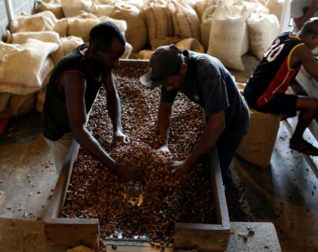 Venezuelan cocoa piles up in New York as exporters scramble for cash